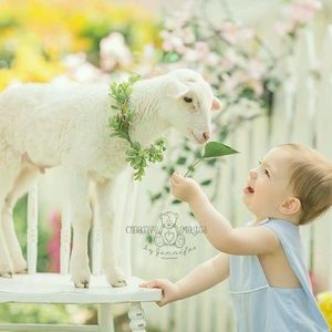 Meet your Posher, Kim